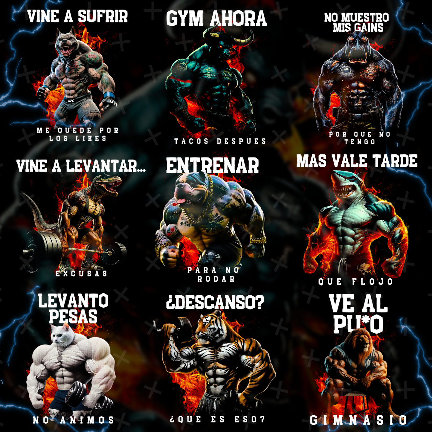 GYM - ANIMALES